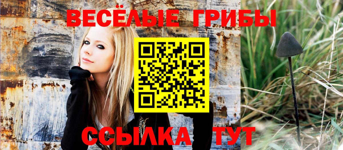 Всеволожск  Галлюциногенные грибы Magic Shrooms  Псилоцибиновые грибы Psilocybe  Вход с VPN 